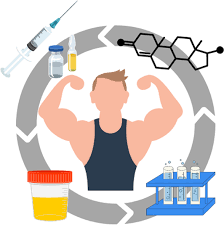 Steroids: Side-effects, utilizes, time to work